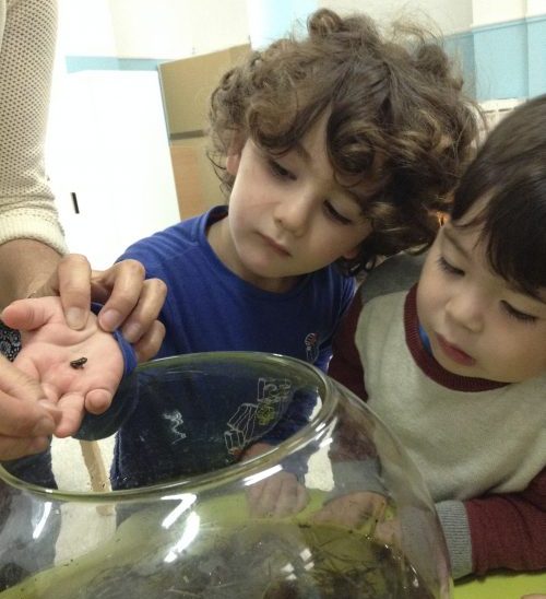 Children learning about the lifecycle of an amphibian. 